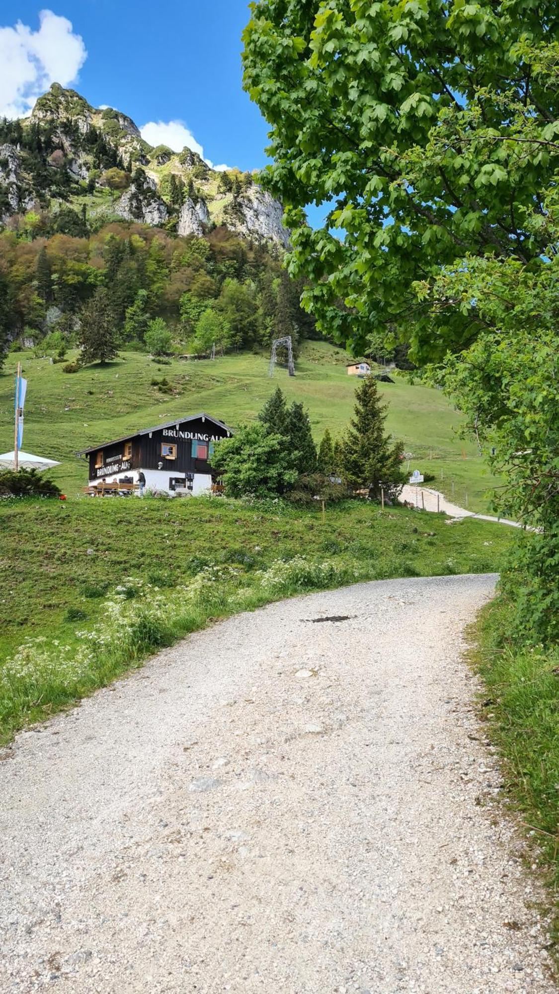 Bruendling-Alm Berggasthof Auf 1167M Auf Dem Hochfelln Bergen  Esterno foto